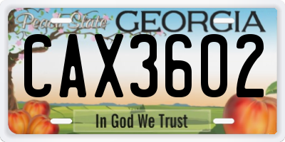 GA license plate CAX3602