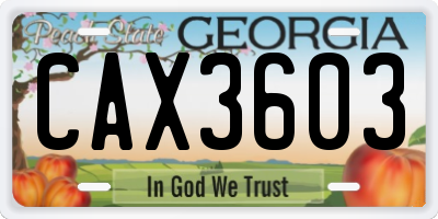 GA license plate CAX3603