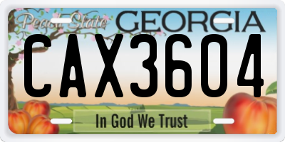 GA license plate CAX3604