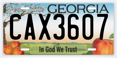 GA license plate CAX3607