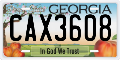 GA license plate CAX3608