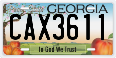 GA license plate CAX3611