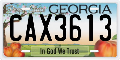 GA license plate CAX3613