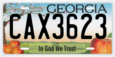 GA license plate CAX3623