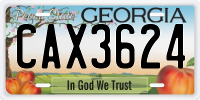 GA license plate CAX3624