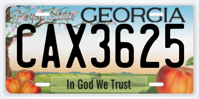 GA license plate CAX3625