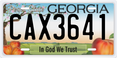 GA license plate CAX3641