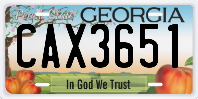 GA license plate CAX3651