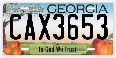 GA license plate CAX3653