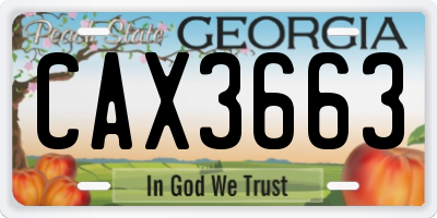 GA license plate CAX3663