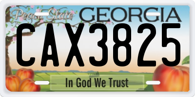 GA license plate CAX3825