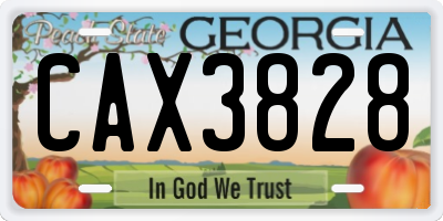 GA license plate CAX3828