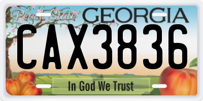 GA license plate CAX3836