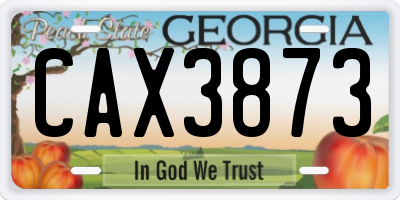 GA license plate CAX3873