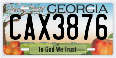 GA license plate CAX3876