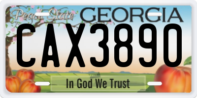 GA license plate CAX3890