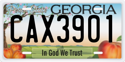 GA license plate CAX3901