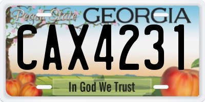 GA license plate CAX4231