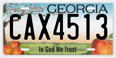 GA license plate CAX4513