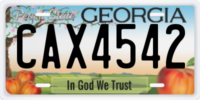 GA license plate CAX4542