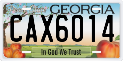 GA license plate CAX6014