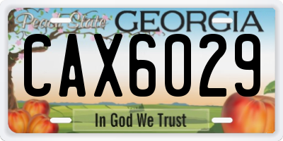 GA license plate CAX6029