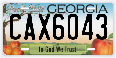 GA license plate CAX6043