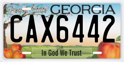 GA license plate CAX6442