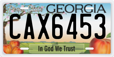 GA license plate CAX6453