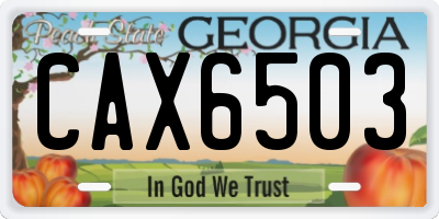 GA license plate CAX6503