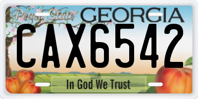GA license plate CAX6542