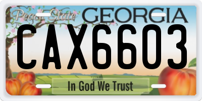 GA license plate CAX6603