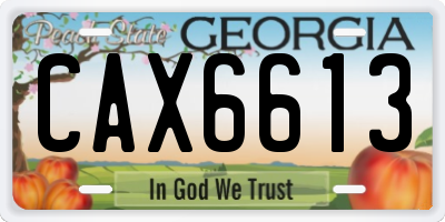 GA license plate CAX6613