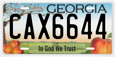 GA license plate CAX6644