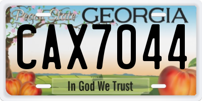 GA license plate CAX7044