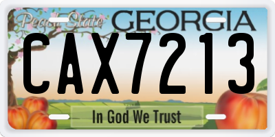 GA license plate CAX7213