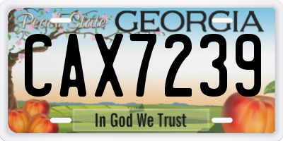 GA license plate CAX7239