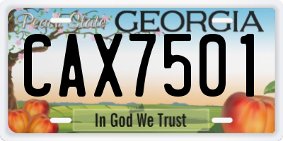 GA license plate CAX7501