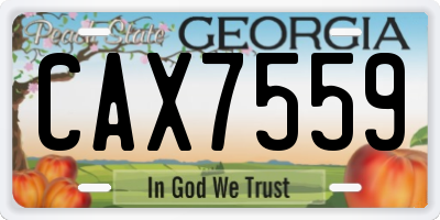 GA license plate CAX7559