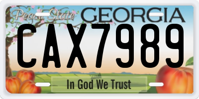 GA license plate CAX7989