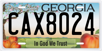 GA license plate CAX8024