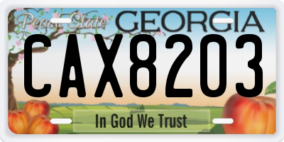 GA license plate CAX8203