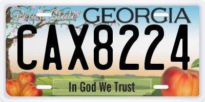 GA license plate CAX8224