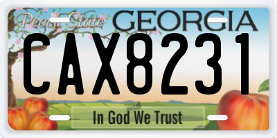 GA license plate CAX8231