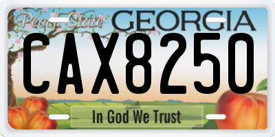 GA license plate CAX8250