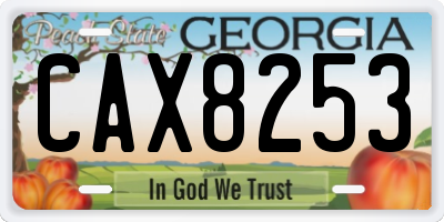 GA license plate CAX8253