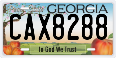 GA license plate CAX8288