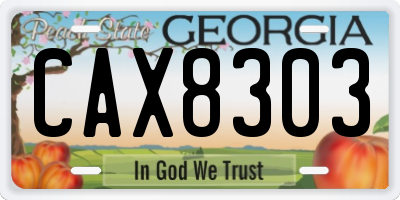 GA license plate CAX8303
