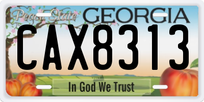 GA license plate CAX8313