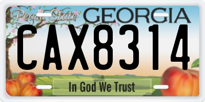 GA license plate CAX8314